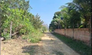 Imóvel 2746697 [''] - ['margem direita do Rio Uatumã, Presidente Figueiredo-AM'] [''] - ['Presidente Figueiredo']/['AM'] - 1