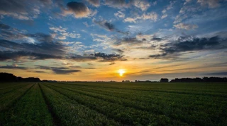 Imóvel 2615297 [''] - [', SN - Santa Tereza'] ['Santa Tereza'] - ['Juazeiro Do Norte']/['CE'] - 1