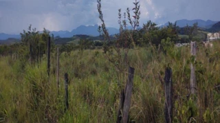 Imóvel 2487598 [''] - ['Rural De Barra Do Pirai'] [''] - ['Barra Do Piraí']/['RJ'] - 1