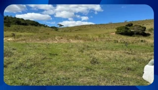 Imóvel 2634398 [''] - ['FAZENDA IPE III, GLEBA B E C'] [''] - ['Santa Rosa De Viterbo']/['SP'] - 1