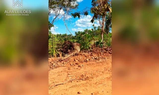 Imóvel 2557398 [''] - ['Fazenda São Raimundo, Gleba B'] [''] - ['Timbiras']/['MA'] - 1