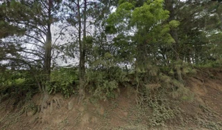 Imóvel 2458498 [''] - ['Fazenda Passa Dois, Distrito de Passo Manso, município de Taió'] [''] - ['Taió']/['SC'] - 1