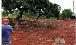 Imóvel 2735399 [''] - ['Chácara 1289-A, s/n - Loteamento Santa Maria - Planaltina / GO'] [''] - ['Planaltina']/['GO'] - 1