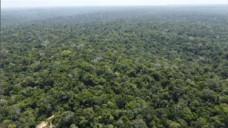 Imóvel 2746699 [''] - ['FAZENDA DANIELLY II'] [''] - ['Presidente Figueiredo']/['AM'] - 1