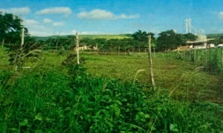 Imóvel 2837599 [''] - ['Lote nº 03, da quadra 11 (onze), do loteamento Araruna II,'] [''] - ['Timbaúba']/['PE'] - 1