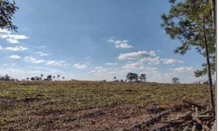 Imóvel 2758199 [''] - ['GLEBA SAMAMBAIA'] [''] - ['Guarapuava']/['PR'] - 1